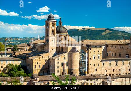 Herzogspalast und Kathedrale in Urbino, Italien Stockfoto