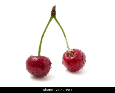 2 rote Kirschen im Tau isoliert auf weißem Hintergrund Nahaufnahme Stockfoto