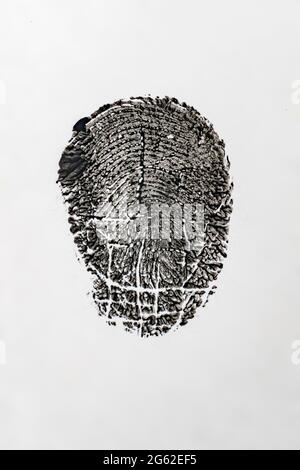 Makroaufnahme der Personen, Fingerabdruck, Beweis in einem Kriminalität Fall, weißen und schwarzen Farben Stockfoto
