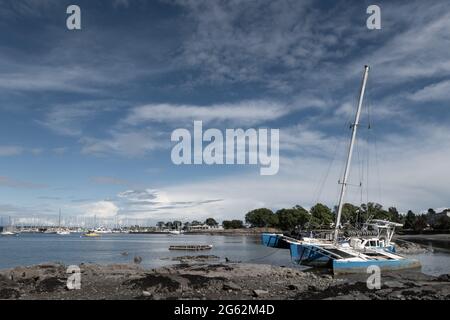 Blick über den Jachthafen von Oak Bay Stockfoto