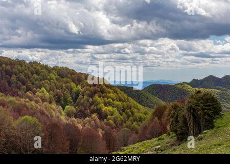 Berglandschaft bei bewölktem Wetter. Die Bäume wechseln im Herbst ihre Farbe. Wald und grüne Wiese im Vordergrund. Katalonien, Spanien Stockfoto