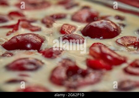 Fertigteig mit Kirschen in der Kirschkuchenform, Clafoutis. Schritt für Schritt Rezept Stockfoto