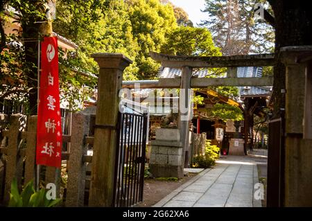 Japanischer schintoistischer Schrein in Kyoto mit üppiger Umgebung und Torii-Tor, symbolisch für den Übergang vom Alltäglichen zum Heiligen. Stockfoto