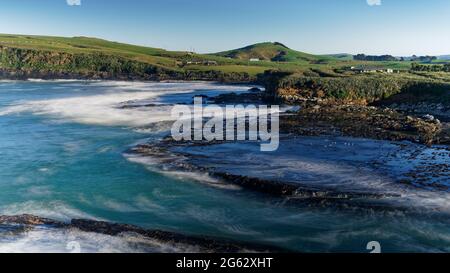 Der versteinerte Jurassic Forest in Curio Bay, der Catlins Region, Südinsel, Neuseeland. Stockfoto