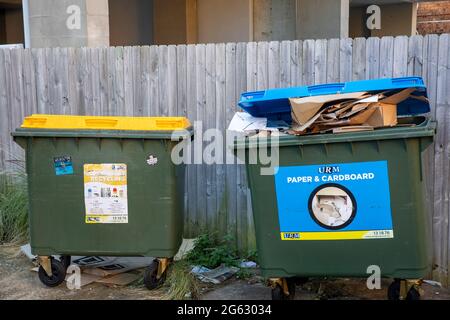 Abfall- und Recyclingbehälter in einer Straße in Sydney, die auf die sammlung durch den rat wartet, Australien Stockfoto