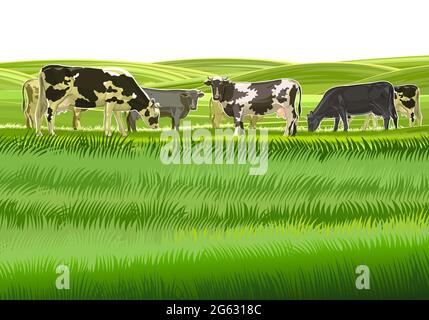 Eine Herde Kühe grast zwischen den ländlichen Hügeln. Weiden. Wiesen und Felder. Rustikale Dorflandschaft. Arbeit auf dem Bauernhof. Isoliert auf weißem Hintergrund. Vektor. Stock Vektor
