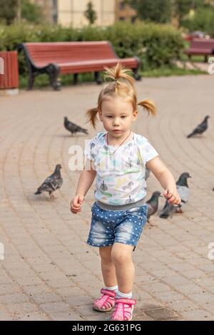 Kleines Mädchen Kleinkind läuft nach Tauben. Sommerzeit. Stockfoto
