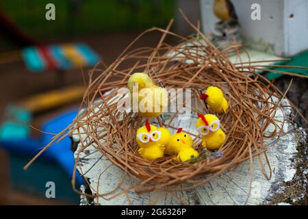 Hühner im Nest. Hühner sind aus Wolle. Dekoration für den Hof im Kindergarten. Hühnerhaus auf der Straße. Niedliche gelbe Vögel. Stockfoto