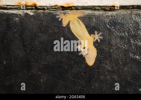 Der Grund des gelben gekko auf dem Glas der rostigen alten Garage Stockfoto