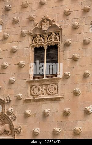 Salamanca / Spanien - 05 12 2021: Blick auf eine Fensterfassade, plateresken Stil, traditionelle Musterstruktur Wand auf Shell-Haus Fassade, Casa de las Concha Stockfoto