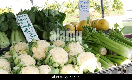 Bio-Gemüse auf der Theke, frische lokale Produkte hausgemachten rohen Gemüse auf dem Marktplatz Stand. Gesundes vegetarisches Essen, Bauernmarkt in Oceanside Ca Stockfoto