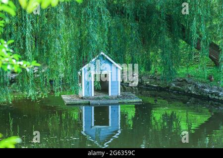 Kleines blaues Schwanenhaus am Teich unter Weidenbaum im grünen Park. Sommerlandschaft mit hellen Vögeln Zuhause schwimmend auf dem Wasser Stockfoto