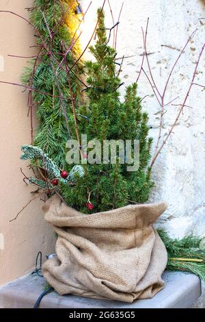 Weihnachtsbaum und Lichter in Sackleinen in der Nähe der Hausmauer. Wirf Tannenbaum nach dem Urlaub weg Stockfoto