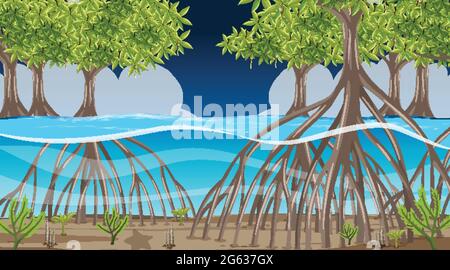 Naturszene mit Mangrovenwald bei Nacht in Cartoon-Stil Illustration Stock Vektor