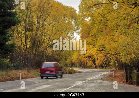 Eine von Herbstbäumen umgebene Straße im Cardrona Valley, Otago, Neuseeland Stockfoto