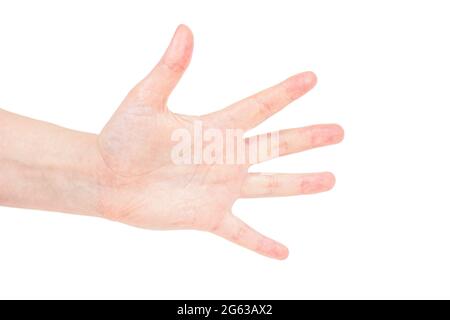 Kaukasische Frauenhand, die alle Finger isoliert auf weißem Hintergrund zeigt. Stockfoto