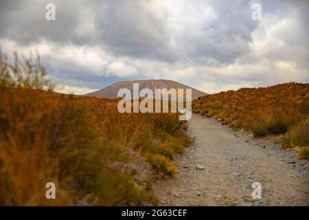 Startpfad zum Tongariro Alpine Crossing vom Mangatepopo Road Point, Neuseeland Stockfoto