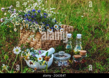 Heilkräuter und Kräutertinkturen. Selektiver Fokus. Natur. Stockfoto