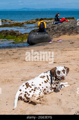 Yellowcraig Beach, East Lothian, Schottland, Großbritannien, 2. Juli 2021. Skizzierworkshop: Eine kleine Gruppe genießt einen entspannten Skizzierworkshop, der von Lynn Fraser von Fantaosh Art am Strand mit Fidra Lighthouse und Island im Hintergrund geleitet wird. Im Bild: Mitglieder der Gruppe skizzieren, während ein dalmatinischer Hund am Strand liegt Stockfoto