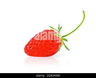 Erdbeeren aus nächster Nähe isoliert auf weißem Hintergrund. Stockfoto