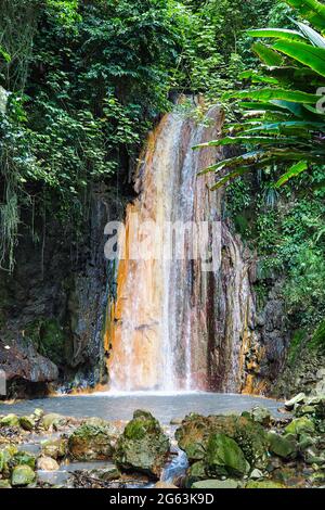 Diamond Waterfall in St. Lucia Botanical Gardens, Saint Lucia, Karibische Inseln, kleine Antillen, Westindische Inseln Stockfoto