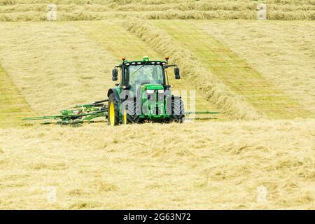 John Deere-Traktor, der während einer Heuernte auf einem Feld mit einem Doppelrotor-Heuwender oder Zetteraufsatz arbeitet Stockfoto