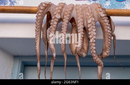 Octopus trocknet unter der Sonne. Frisch gefangener Weichtiere auf einem Holzstab aus einer Fischtaverne in Naousa, Insel Paros, Griechenland. Traditionelle griechische Cuis Stockfoto