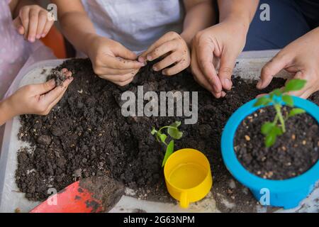 Asiatische Mutter und ihre Kinder im Garten zusammen. Frühling und Hobbys, Familie wächst Blumen zusammen. Hobby-Haus für die ganze Familie, Unterhaltung mit Kind Stockfoto