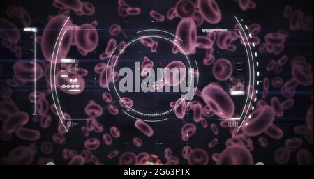 Abbildung des Scannens des Scopes und der Überprüfung der Coronavirus Covid-19-Zelle durch Blutzellen auf der schwarzen Rückseite Stockfoto