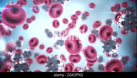 Aufnahme von Makrozellen des Coronavirus Covid-19, die in einer Vene schweben. 4k Stockfoto