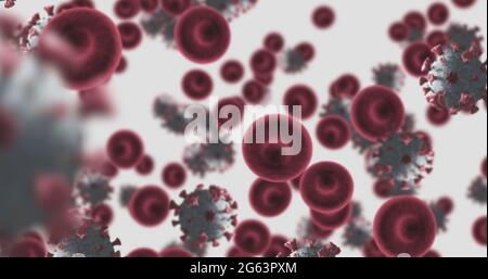 Aufnahme von Makrozellen des Coronavirus Covid-19, die in einer Vene schweben. 4k Stockfoto