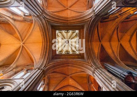 Blick auf die gotischen Bögen der Decke der Truro Kathedrale Stockfoto