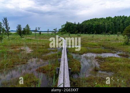 Eine Moor- und sumpfige Landschaft am Ufer eines Sees mit Vegetation und einem hölzernen Boardwalk-Pfad durch die Mitte Stockfoto