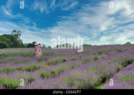 Mutter und Baby stehen im Sommer auf einem Lavendelfeld in Surrey, England Stockfoto