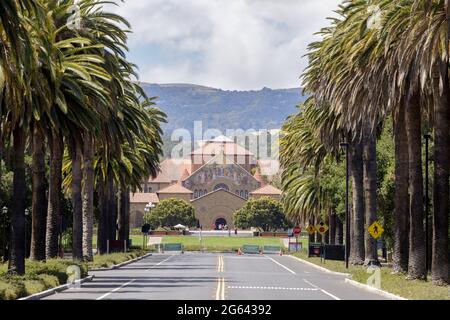 Stanford Memorial Church über den Palm Drive in Palo Alto, Kalifornien, USA. Stockfoto