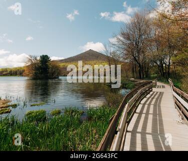 Eine Holzpromenade über den Abbott Lake und Blick auf den Sharp Top Mountain in Peaks of Otter auf dem Blue Ridge Parkway, Virginia Stockfoto