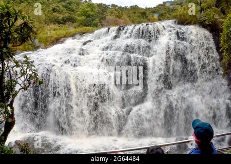 Baker s Falls Wasserfall in einem tropischen Regenwald des Horton Plains National Park, Sri Lanka Stockfoto