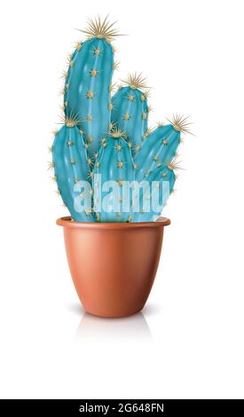 Kaktus in Topfsukkulenten auf isoliertem Hintergrund. Stock Vektor
