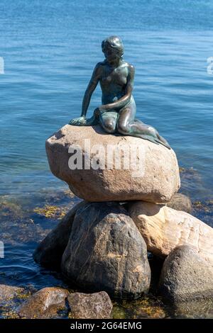 Kopenhagen, Dänemark - 13. Juni 2021: Blick auf die kleine Meerjungfrau-Statue auf der Langelinie Promenade im Hafen von Kopenhagen Stockfoto