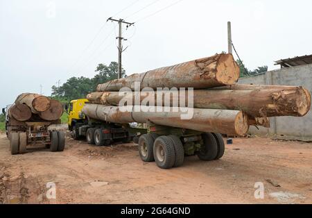 ELFENBEINKÜSTE, Azaguié, Abholzung und Holzhandel nach China, LKW vor Sägewerk / ELFENBEINKUESTE, Azaguie, Abholzung und Holzhandel nach China, Lastwagen mit Baumstämmen vor einem Sägewerk Stockfoto