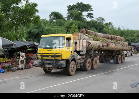 ELFENBEINKÜSTE, Azaguié, Abholzung und Holzhandel nach China / ELFENBEINKUESTE, Azaguie, Abholzung und Holzhandel nach China Stockfoto