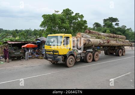 ELFENBEINKÜSTE, Azaguié, Abholzung und Holzhandel nach China / ELFENBEINKUESTE, Azaguie, Abholzung und Holzhandel nach China Stockfoto