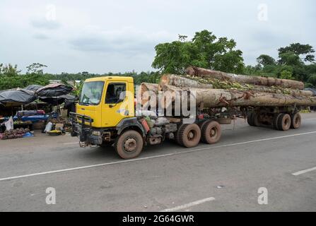 ELFENBEINKÜSTE, Azaguié, Abholzung und Holzhandel nach China / ELFENBEINKUESTE, Azaguie, Abholzung und Holzhandel nach China Stockfoto