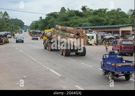 ELFENBEINKÜSTE, Azaguié, Abholzung und Holzhandel nach China / ELFENBEINKUESTE, Azaguie, Abholzung und Holzhandel nach China Stockfoto