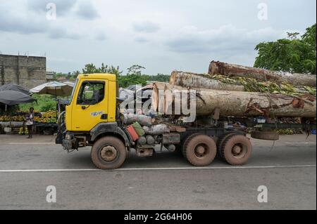 ELFENBEINKÜSTE, Azaguié, Abholzung und Holzhandel nach China / ELFENBEINKUESTE, Azaguie, Abholzung und Holzhandel nach China Stockfoto