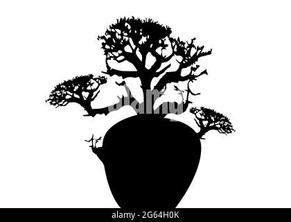 Boab oder Baobab Tree Vector isoliert, Andasonia Baum Silhouette Symbol. Australischer Baobab isoliert auf weißem Hintergrund Stock Vektor