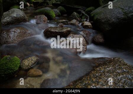 Zeitlupe des Wassers, das über grünes Moos und Felsen in Zeitlupe läuft, Port Douglas, Daintree Rain Forest, Australien Stockfoto