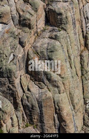 Klippen entlang des Sunlight Creek, von der Auslegungsstelle aus gesehen, entlang der Chief Joseph Scenic Byway, Shoshone National Forest, Wyoming, USA Stockfoto