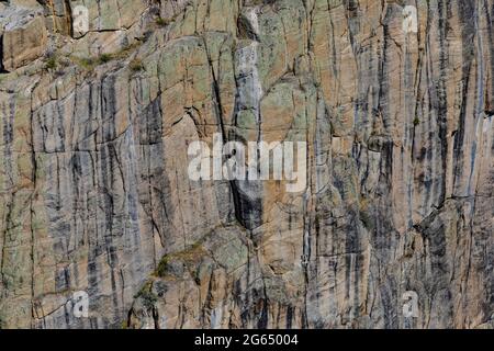 Klippen entlang des Sunlight Creek, von der Auslegungsstelle aus gesehen, entlang der Chief Joseph Scenic Byway, Shoshone National Forest, Wyoming, USA Stockfoto