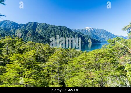 Lago Todos los Santos (See aller Heiligen), Chile Stockfoto